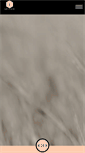Mobile Screenshot of contversion.com